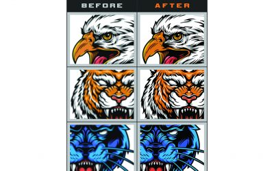 CorelDRAW 2021: Cracking the Code