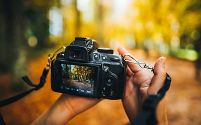 Enhance Your Instagram Posts with Stock Photography Services