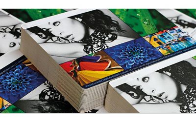 Beaver Paper Adds New Sustainable Display Boards to Portfolio