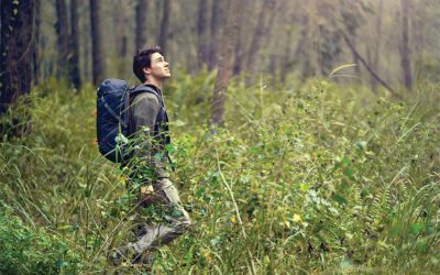 Lenzing Launches TENCEL Tree Climate Fabric Collection