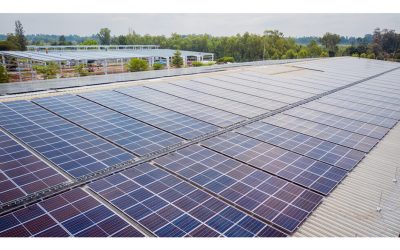HanesBrands Celebrates First Company-Owned Solar Power Project