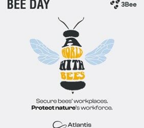 Atlantis Headwear and 3bee Unite for the ‘Pollinate the Planet’ Project