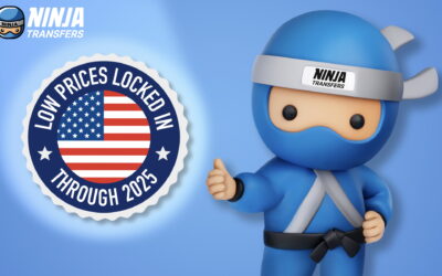 Ninja Transfers Commits to No Price Increases on its DTF Transfers in 2025