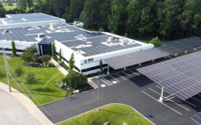 DTF Transfers Provider Ninja Transfers Goes Solar