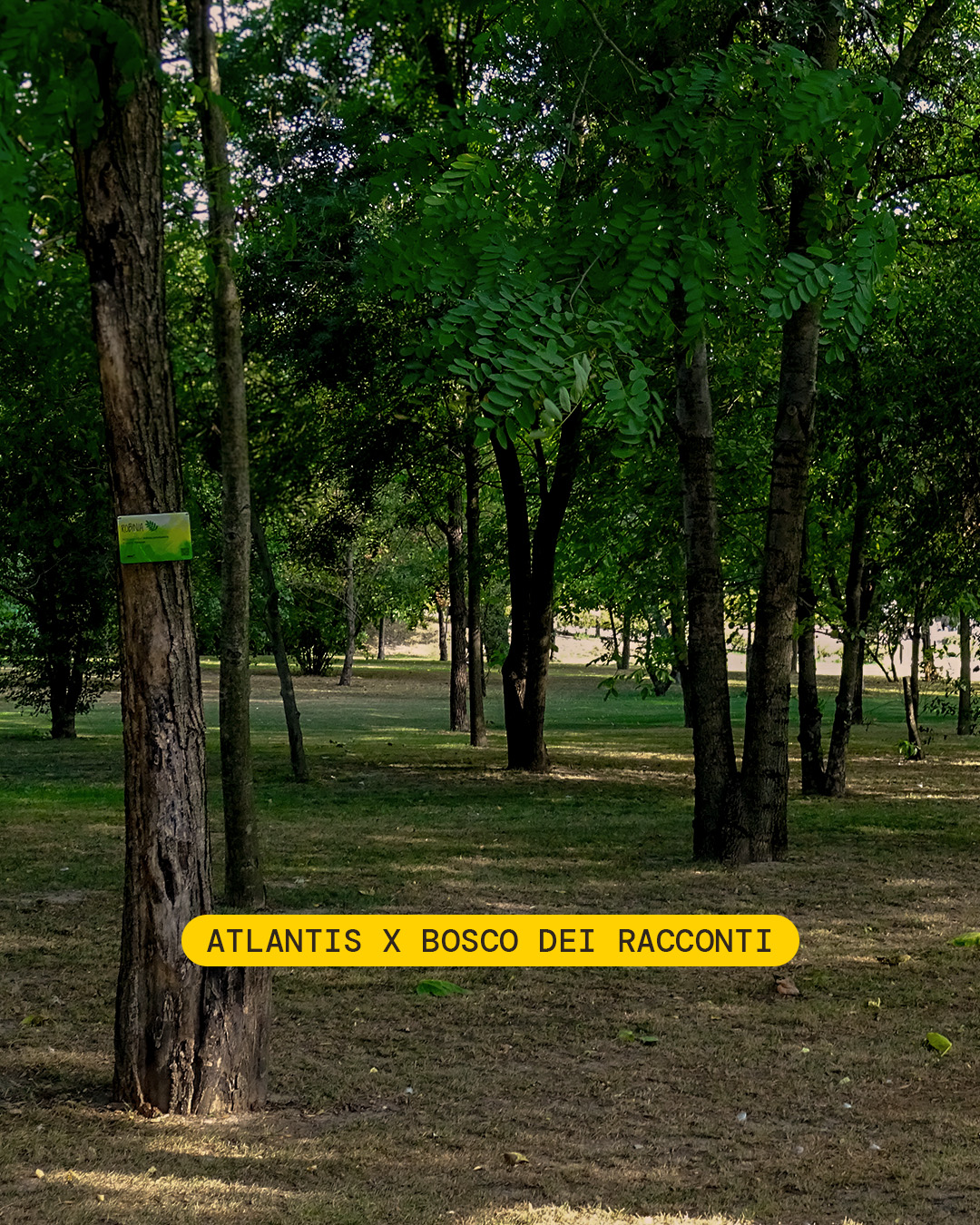 Bosco dei Racconti forest in San Donà di Piave, Italy, where Atlantis Headwear supports biodiversity conservation and long-term carbon reduction initiatives.