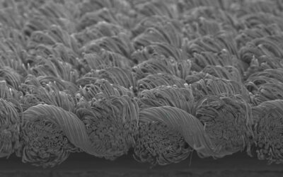 Toray Develops Polyester-Nylon Fiber With at Least 93% Recycled Content