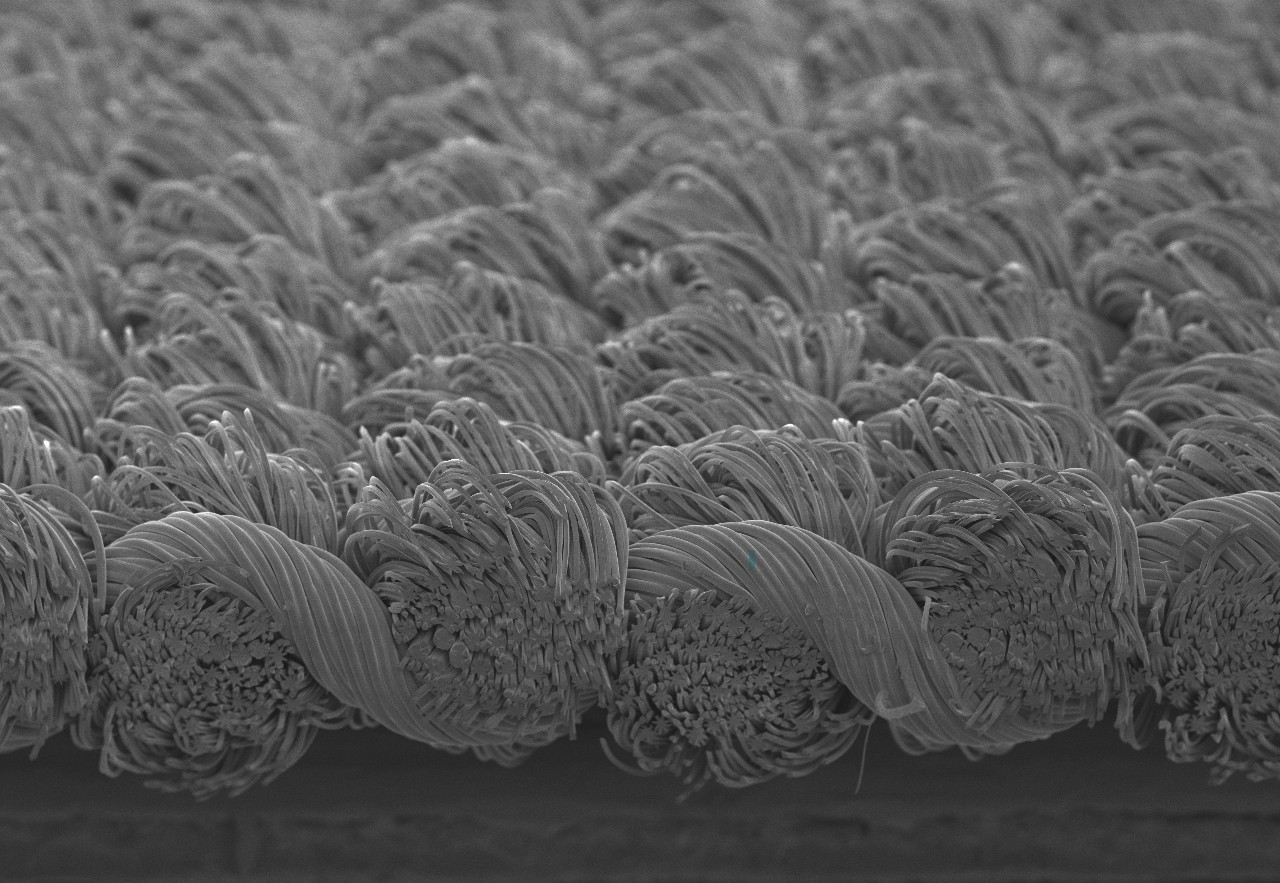 Microscopic close-up of Toray ARTIROSA CX polyester-nylon textile showing dense, finely textured fibers after finishing.